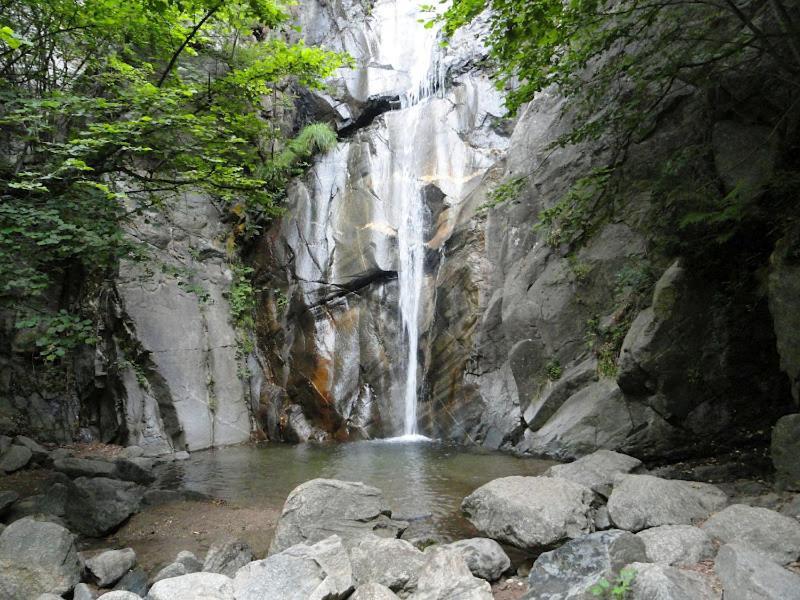 Allotjament Taga Ribes De Freser Buitenkant foto