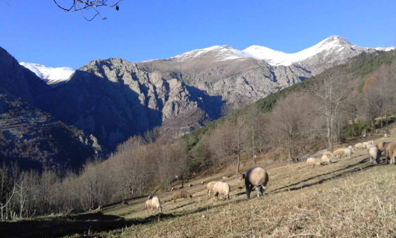 Allotjament Taga Ribes De Freser Buitenkant foto