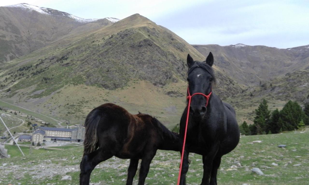 Allotjament Taga Ribes De Freser Buitenkant foto